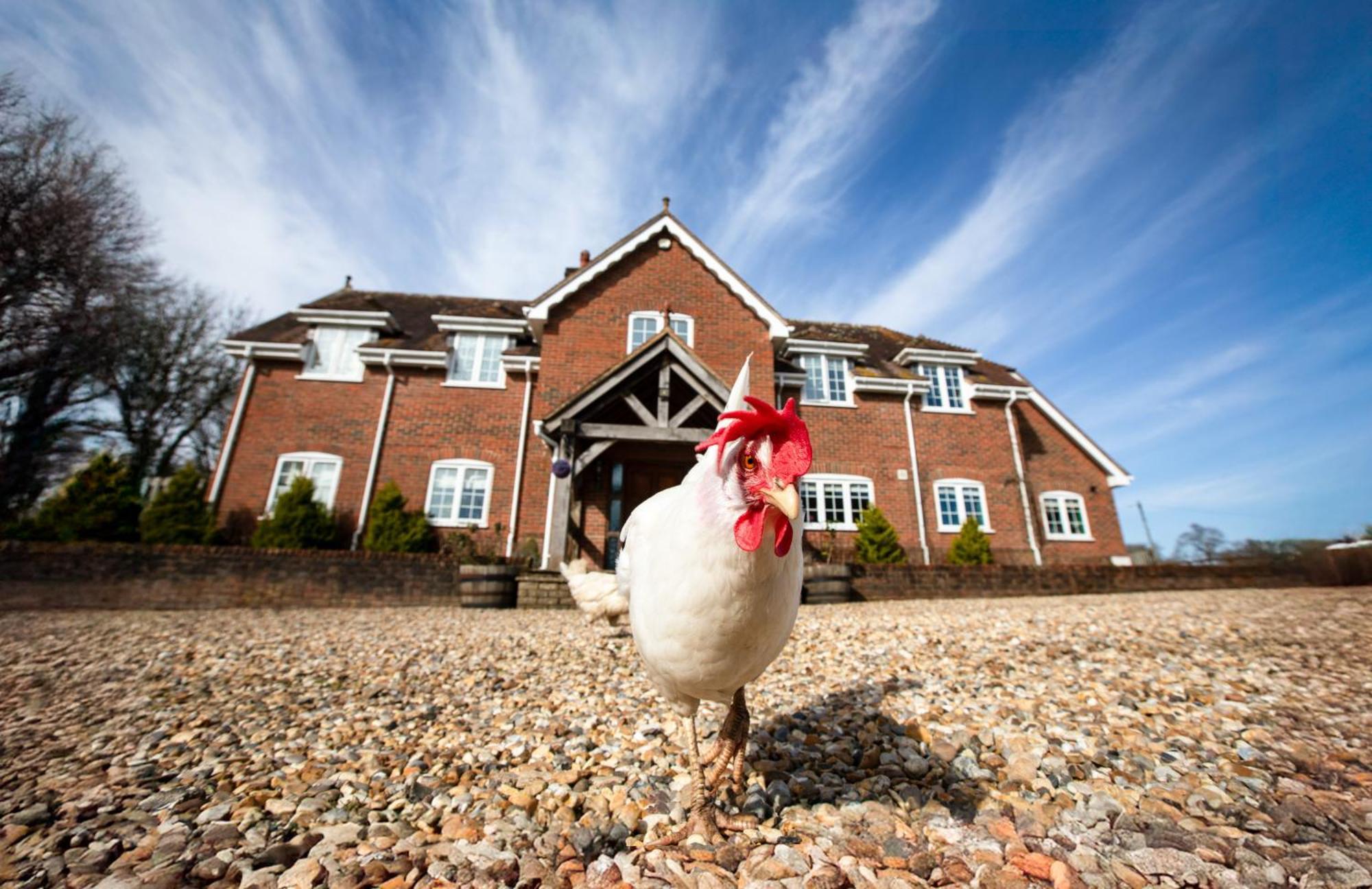 Langford Farmhouse - New Forest National Park Luxury 4Bd, Hot Tub, Cinema, 10 Acres Bartley Eksteriør billede