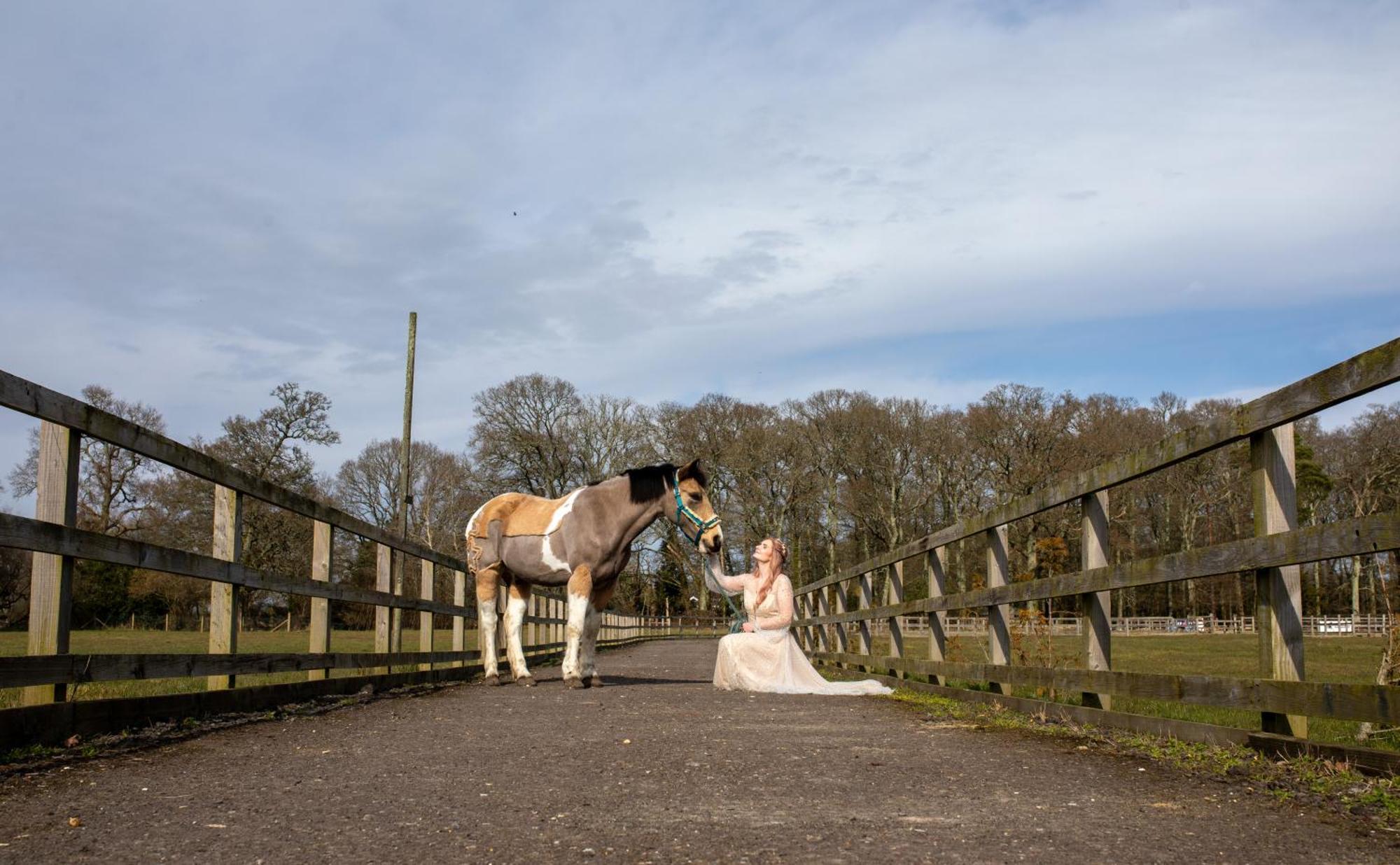 Langford Farmhouse - New Forest National Park Luxury 4Bd, Hot Tub, Cinema, 10 Acres Bartley Eksteriør billede